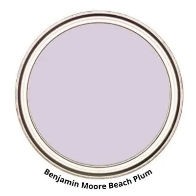 BM Beach Plum Digital Paint Can swatch