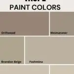 Benjamin Moore Taupe Paint Colors Pinterest graphic