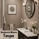 Benjamin Moore Taupe Paint Colors