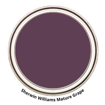 SW Mature Grape Digital Paint Can swatch