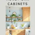 pros and cons - honey oak cabinets pinterest graphic