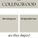 Agreeable Gray vs Collingwood