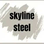 Skyline Steel Paint Color Spotlight - Pinterest Graphic