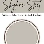 Skyline Steel Paint Color Spotlight - Pinterest Graphic