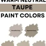 sherwin williams warm neutral Taupe paint colors