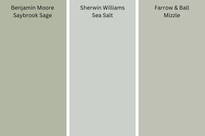 soft green digital color swatches