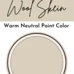 wool skein organic modern paint color