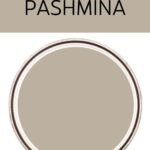 Benjamin Moore Pashmina Paint Color Review