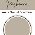 Benjamin Moore Pashmina- warm neutral paint color