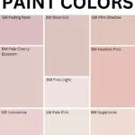 Dusty Pink Paint Colors