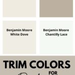 Trim Colors for BM Pashmina