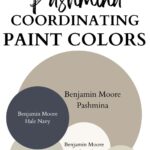 paint color that go with BM Pashmina