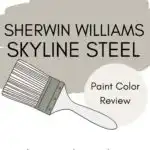 skyline steel paint color review