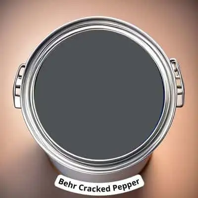 Behr Cracked Pepper Digital Paint Can swatch