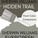 SW Hidden Trail vs SW Evergreen Fog paint color comparison pinterest graphic
