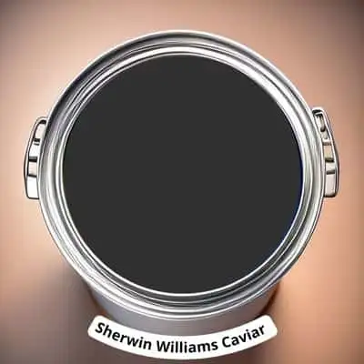 Sherwin Williams Caviar Digital Paint Can swatch