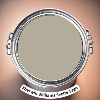 Sherwin Williams Svelte Sage Digital Paint Can swatch 