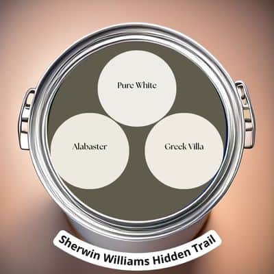 Trim colors for Sherwin Williams Hidden Trail Digital Paint Can swatch