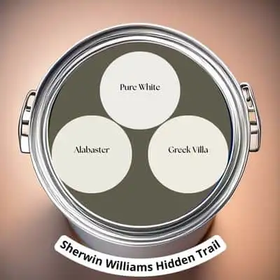 Trim colors for Sherwin Williams Hidden Trail Digital Paint Can swatch