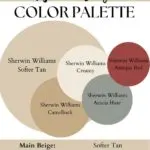 Warm Beige Color Palette - SOfter Tan