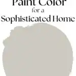 elegant paint color for a sophisticated home