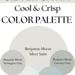 BM Silver Cool & Crisp paint Color Palette