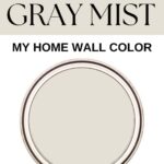 Benjamin Moore Gray Mist - Home Wall Color