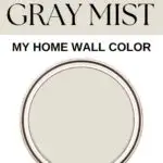 Benjamin Moore Gray Mist - Home Wall Color