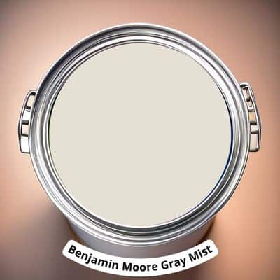 Benjamin Moore More Gray Mist Digital Paint Can swatch 