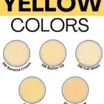 Butter yellow colors