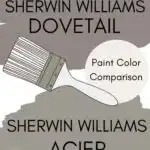 SW Dovetail vs SW Acier paint color comparison Pinterest graphic