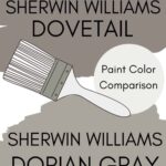 paint color comparison Pinterest graphic