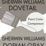paint color comparison Pinterest graphic