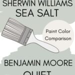 SW Sea Salt vs BM Quiet Moments paint color comparison Pinterest graphic