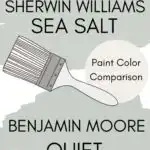 SW Sea Salt vs BM Quiet Moments paint color comparison Pinterest graphic