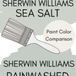SW Sea Salt vs SW Rainwashed paint color comparison Pinterest graphic