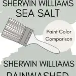 SW Sea Salt vs SW Rainwashed paint color comparison Pinterest graphic