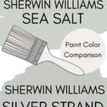 Sherwin Williams Sea Salt SW 6204: A Serene Green-Blue Paint Review