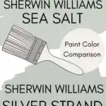 Sherwin Williams Sea Salt SW 6204: A Serene Green-Blue Paint Review