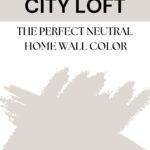 Sherwin Williams City Loft home wall color