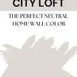 Sherwin Williams City Loft home wall color