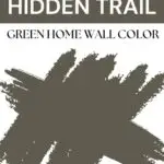 Sherwin Williams Hidden Trail green home wall color