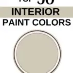Sherwin Williams Top 50 Interior Paint Colors -Accessible Beige Pinterest Graphic