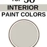 Sherwin Williams Top 50 Interior Paint Colors -Agreeable Gray- Pinterest Graphic