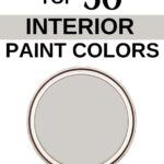 Sherwin Williams Top 50 Interior Paint Colors - Big Chill -Pinterest Graphic