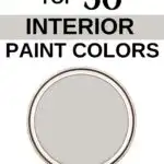 Sherwin Williams Top 50 Interior Paint Colors - Big Chill -Pinterest Graphic