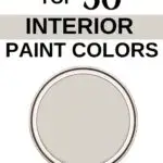 Sherwin Williams Top 50 Interior Paint Colors -Crushed Ice- Pinterest Graphic