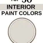 Sherwin Williams Top 50 Interior Paint Colors -Drift of Mist- Pinterest Graphic