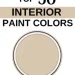 Sherwin Williams Top 50 Interior Paint Colors - Kilim Beige -Pinterest Graphic