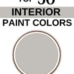 Sherwin Williams Top 50 Interior Paint Colors -Light French GrayPinterest Graphic